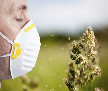 The Right Way to Handle Your Allergies