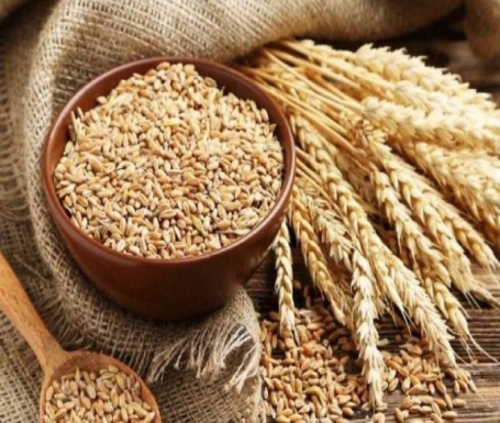 Benefits of oats